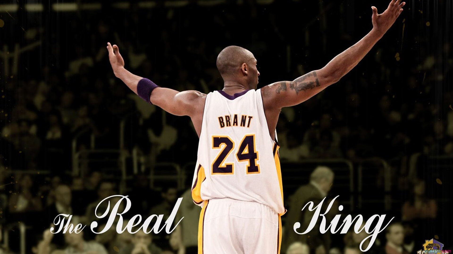 教练强调防守体系重要性